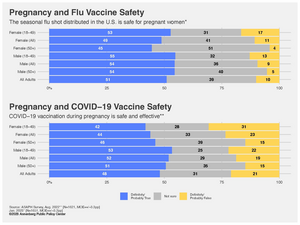 Views by age group on the safety of flu and Covid vaccination during pregnancy