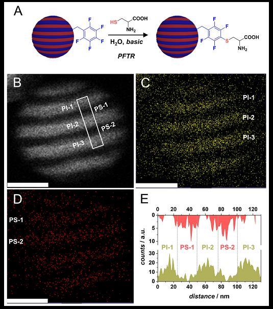 Figure 2. Schematic Representation of Functionalized Block of the Striped Nanoparticles