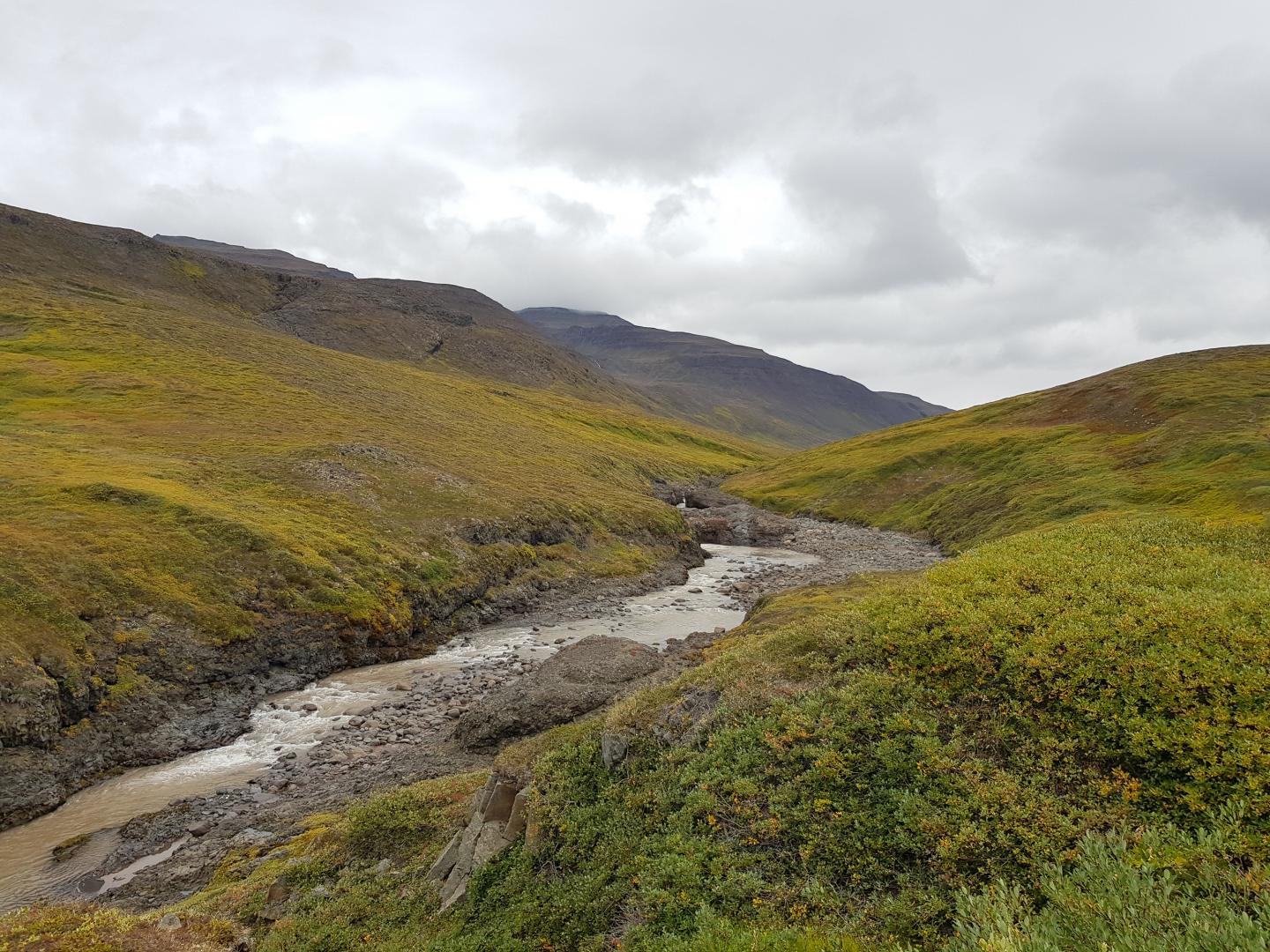 A tundra landscape on Disko Island, Greenland.