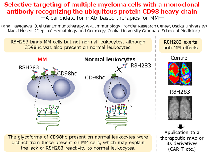 monoclonal antibody | EurekAlert!