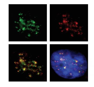 Good Fences Make Good Neighbors (2 of 2)
