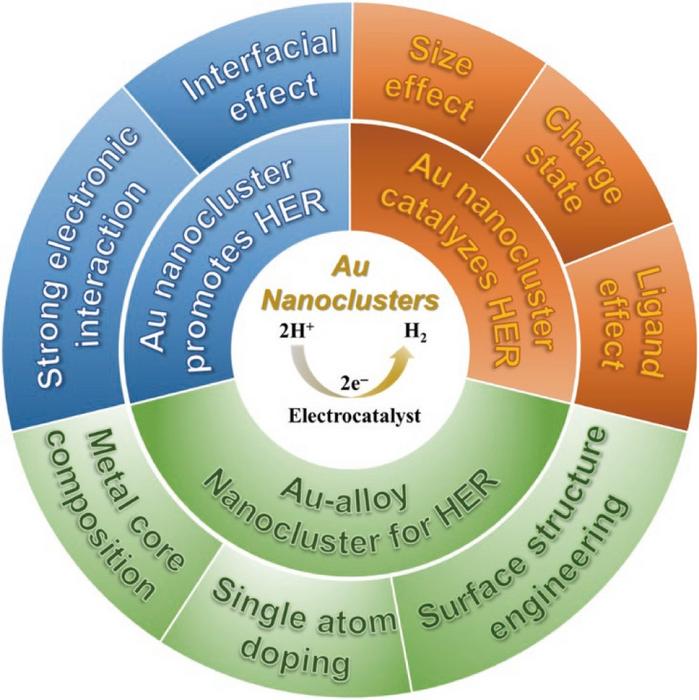 A diagram showing the differen [IMAGE] EurekAlert! Science News Releases