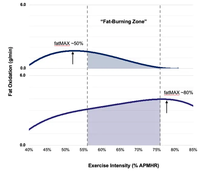 Fat burning during exercise