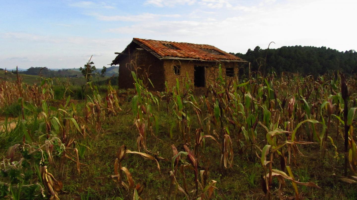 Rwandan Agriculture (2 of 3)