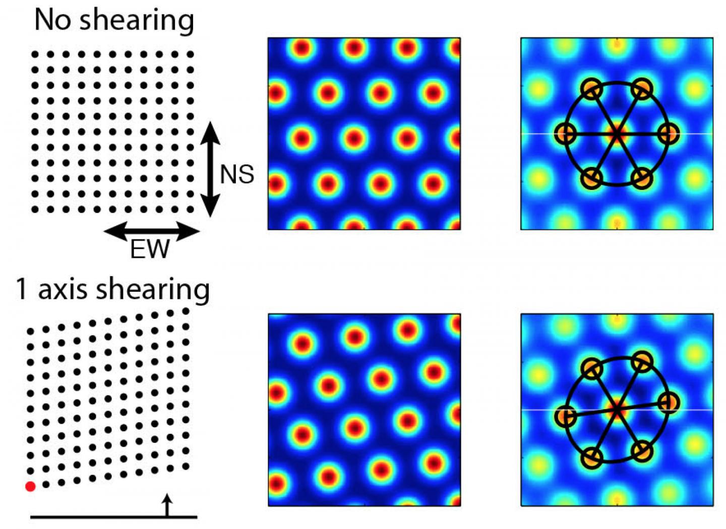 Shearing Explains Grid Asymmetries