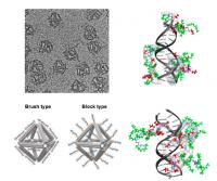 Architectures of Peptoid Coatings for DNA Origami