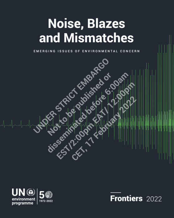 Cover of UNEP's 2022 Frontiers Report