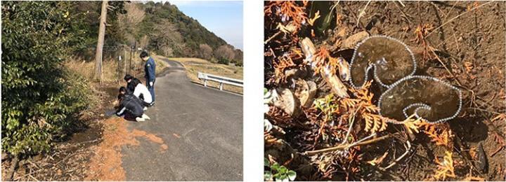 Conducting Field Surveys