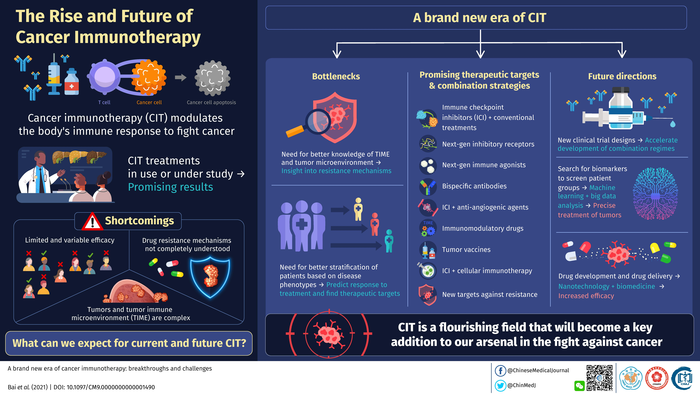 Cancer Immunotherapy