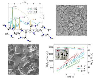 THE STRUCTURE OF MORPHOLOGY OF 1D & 2D LOW-DIMENSIONAL CARBON MATERIALS AND THEIR PERFORMANCE OF SELECTIVE OXYGEN REDUCTION TO PRODUCING H₂O₂