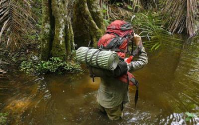 Man Walking through the Swamps of Minkebe National Park in Gabon, Central Africa