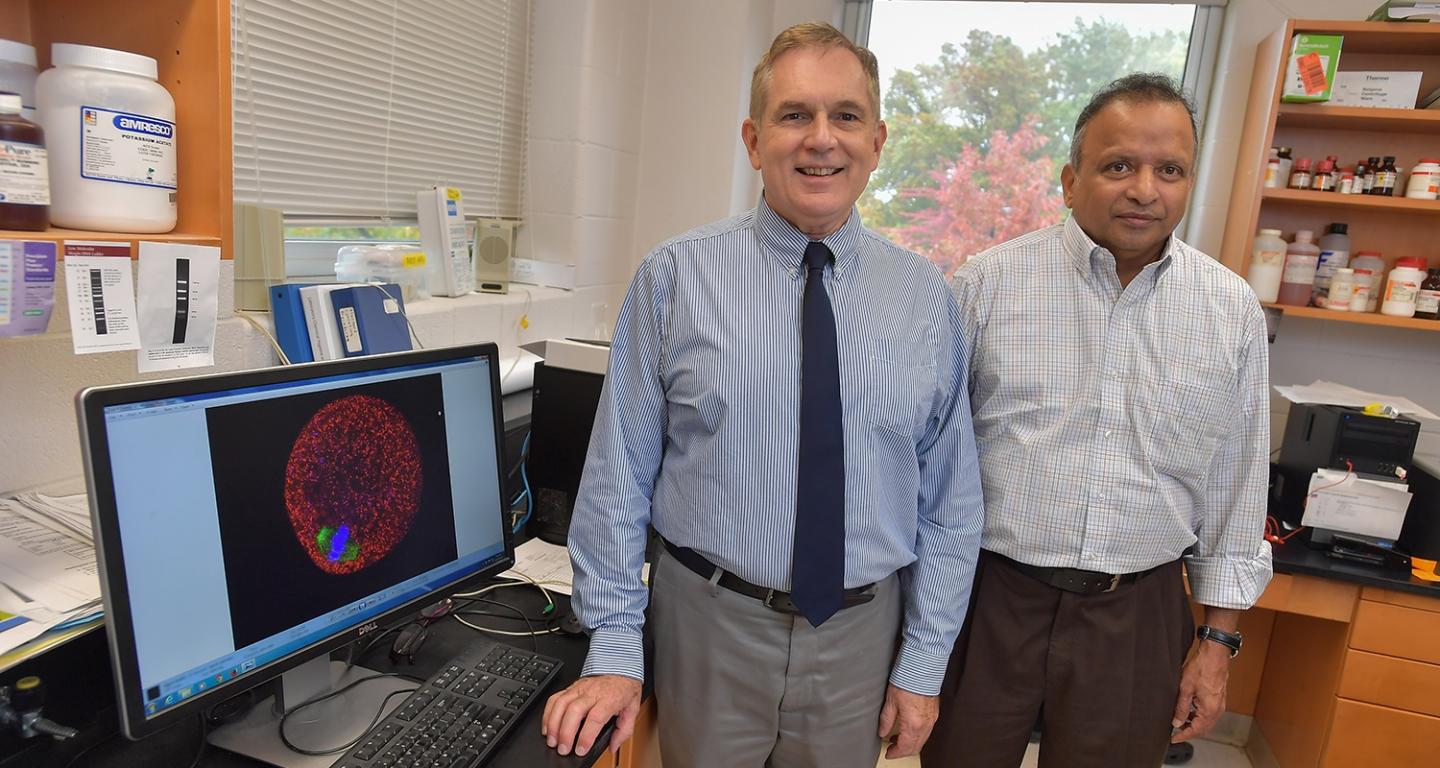 Doug Kline and Srinivasan Vijayaraghavan, Kent State University
