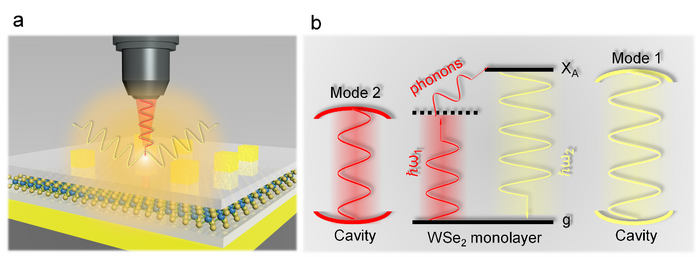 Figure 1 | Doubly resonant upconverted emission of 2D excitons in plasmonic nanocavity.