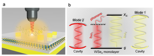 Figure 1 | Doubly resonant upconverted emission of 2D excitons in plasmonic nanocavity.