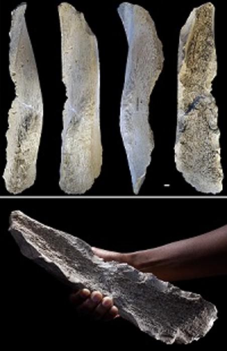 The standardised production of bone tools by our ancestors pushed back one million years