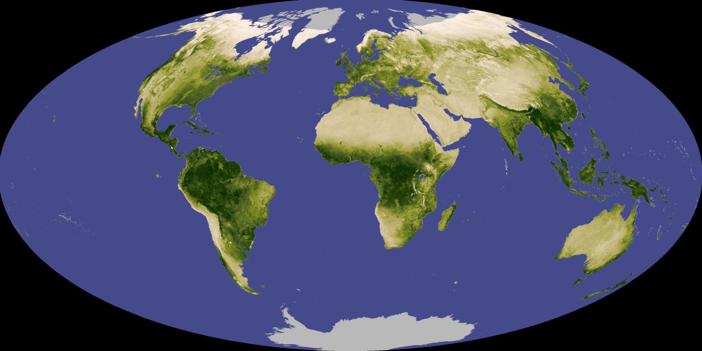Satellite Showing Earth's Vegetation