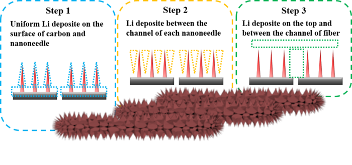 Bottom–up uniform Li deposition behavior realized by unique three–dimensional nanoneedle arrays.