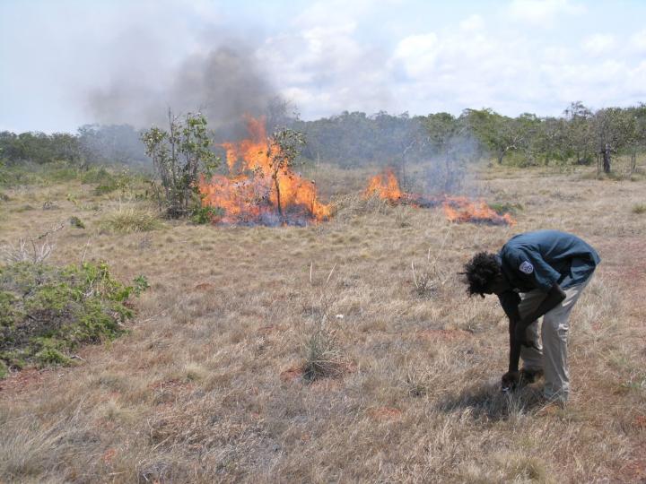 The Earth as Larder: How Indigenous Land Management Ensured Economic Survival