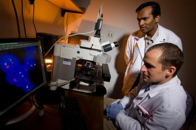 SPINK1 Prostate Cancer Researchers