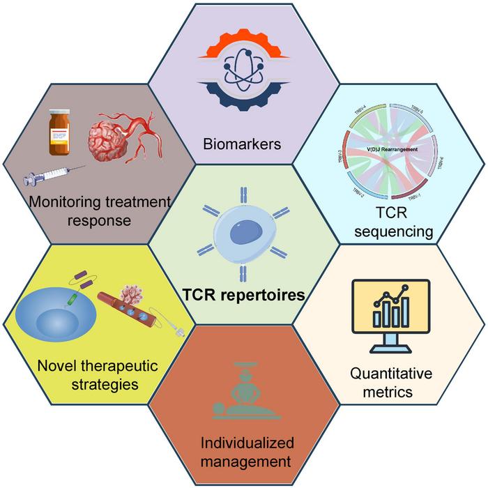 T-cell Receptor Repertoire Analysis in the Context of Transarterial Chemoembolization Synergy with Systemic Therapy for Hepatocellular Carcinoma