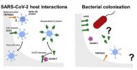 Bacterial Colonization of SARS-CoV-2 Host