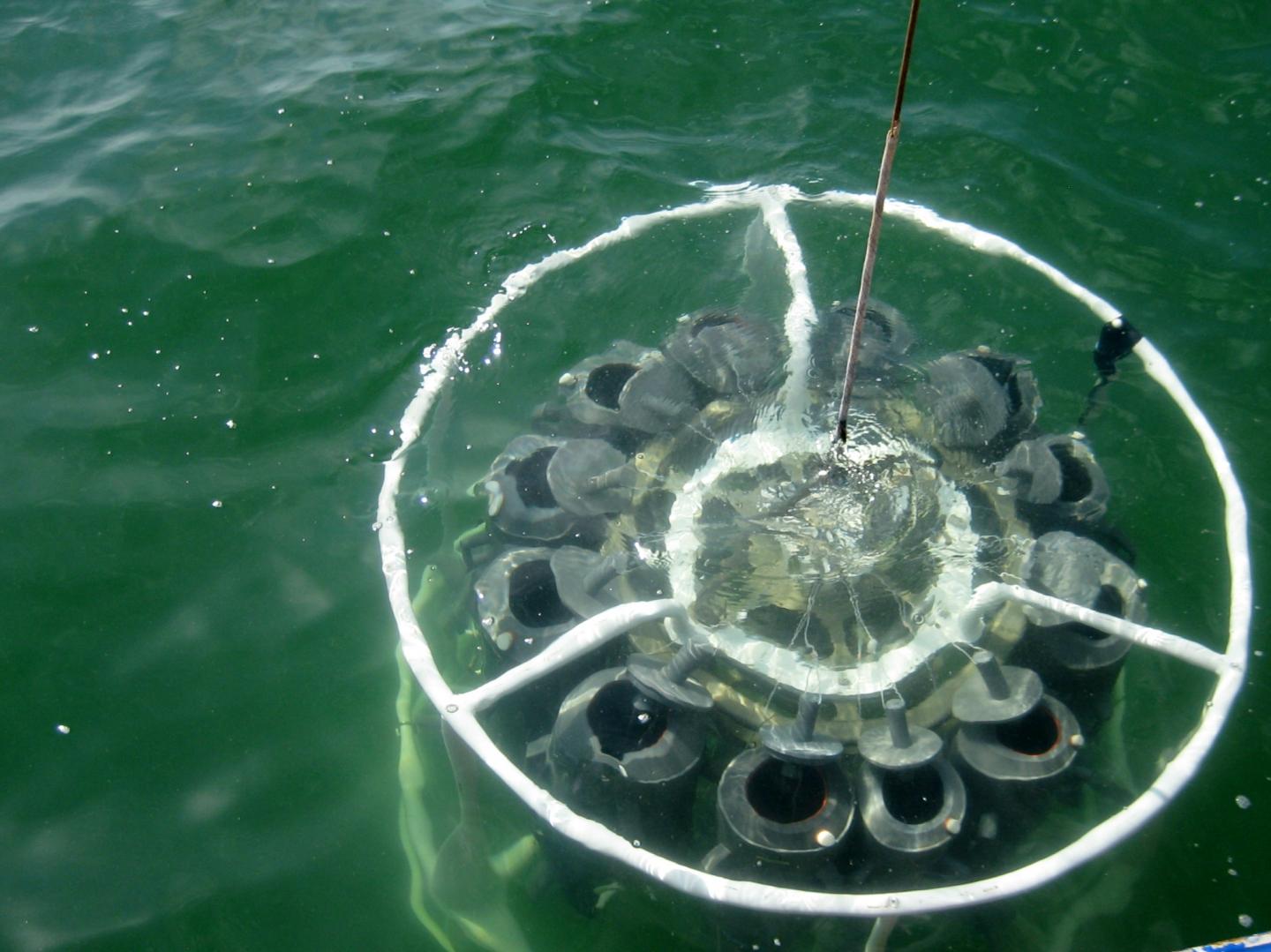 Collecting Red Tide at its Source