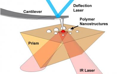 Atomic Force Microscope Infrared Spectroscopy of Polymer Nanostructures