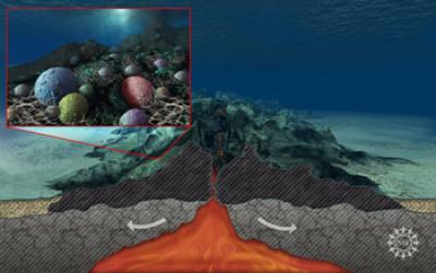 Graphic Illustration Showing the Sea Floor