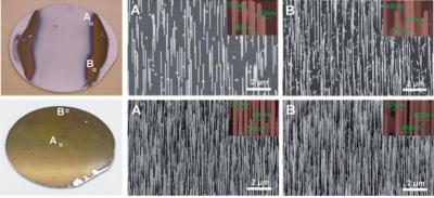 Optical and SEM Image
