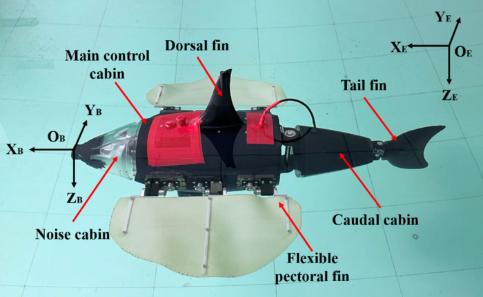 Prototype of the RobDact