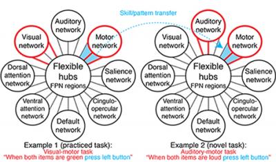 FPN Flexible Hub Diagram