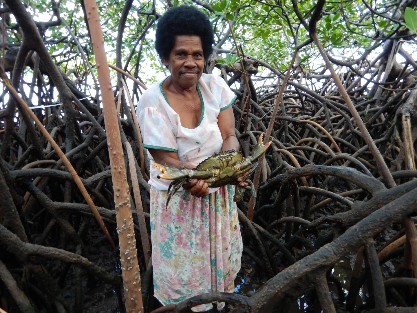 A Mud Crab Fisher in Fiji