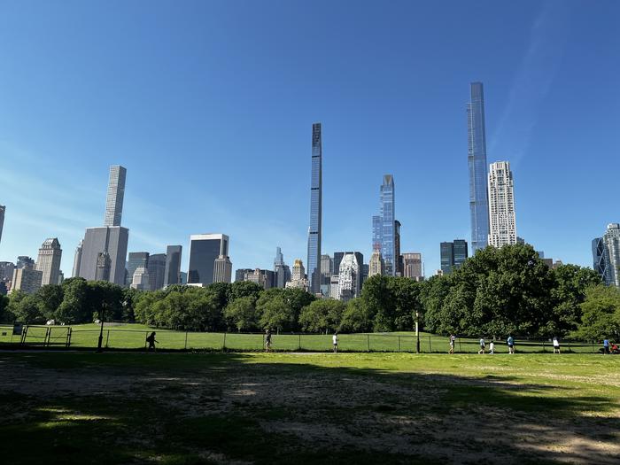 Forestry in Central Park