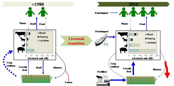 Fig. 1. The Livestock Transition in China Between 1980 and 2010