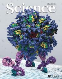 May 10, 2013, Issue of <I>Science</I>