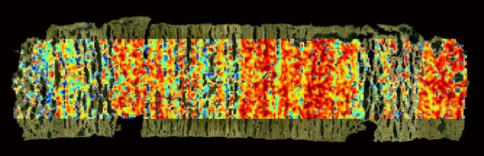 sediment sample