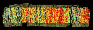 sediment sample