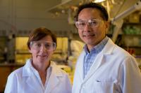 Kim Heck and Michael Wong,  Rice University 