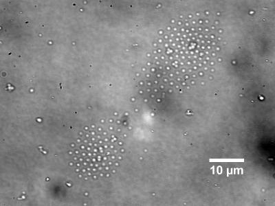 Rapid Electrokinetic Patterning