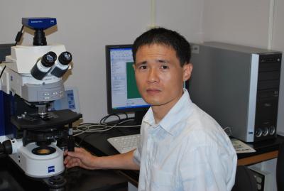 Hong-Guo Yu, Florida State University