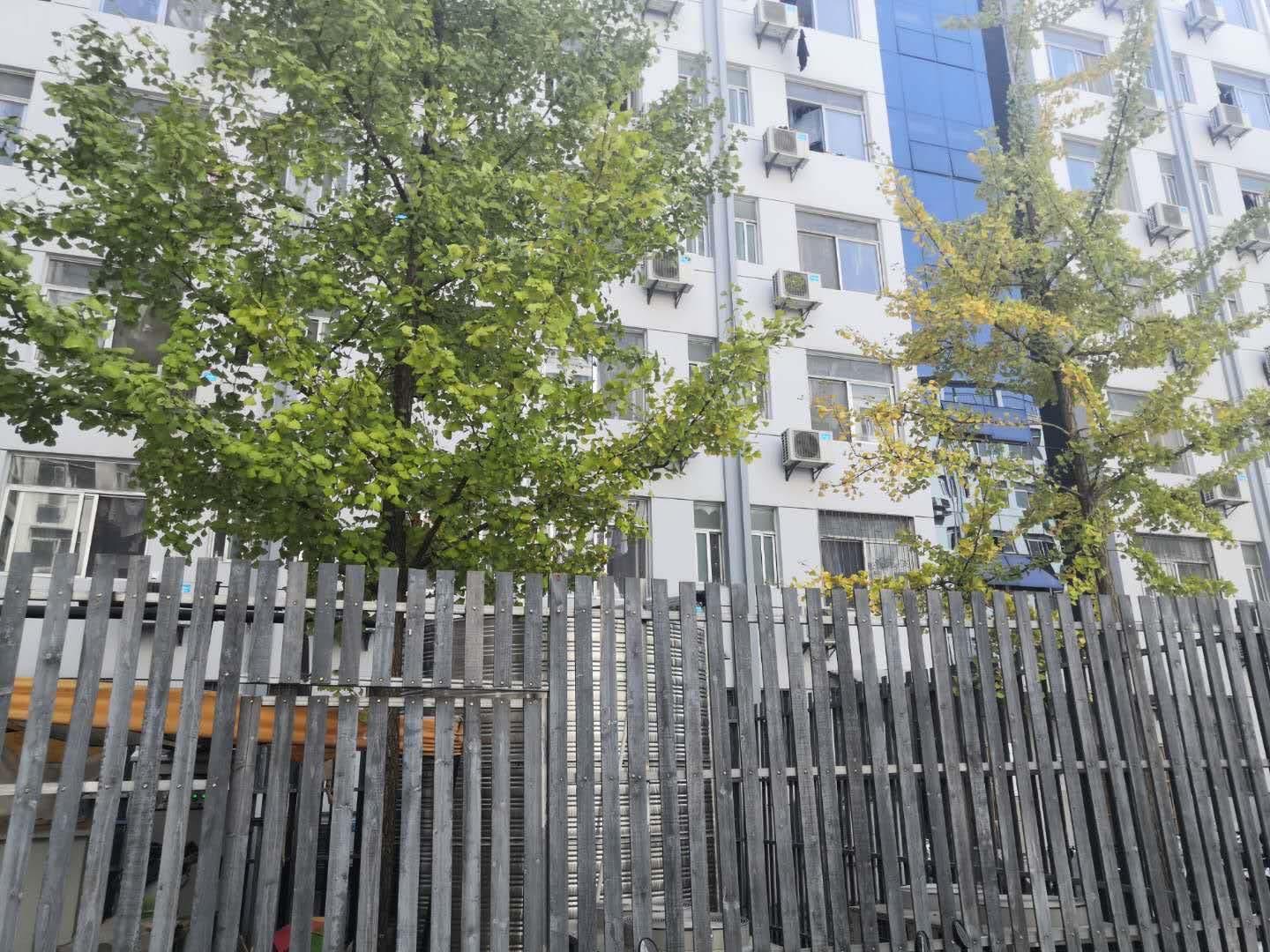 Leaves Facing Air-Conditioning Outlet