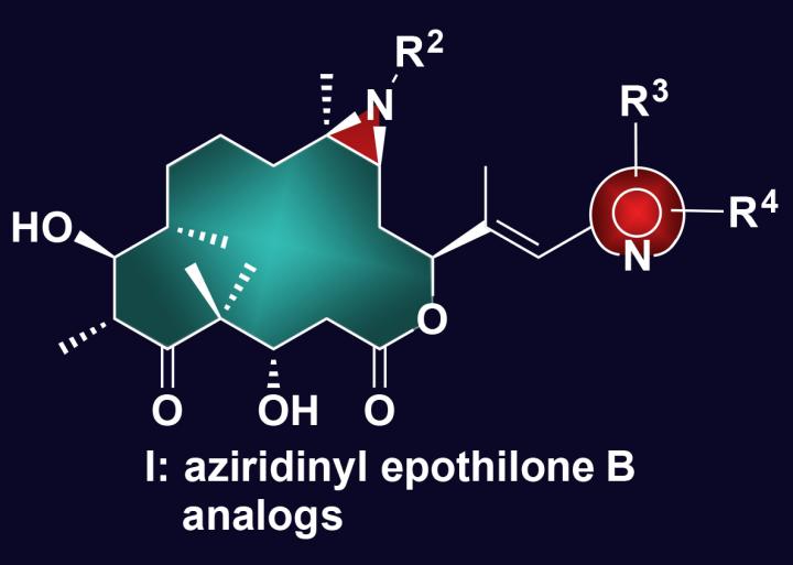 General Structure of the Newly Synthesized Aziridine Epothilone B