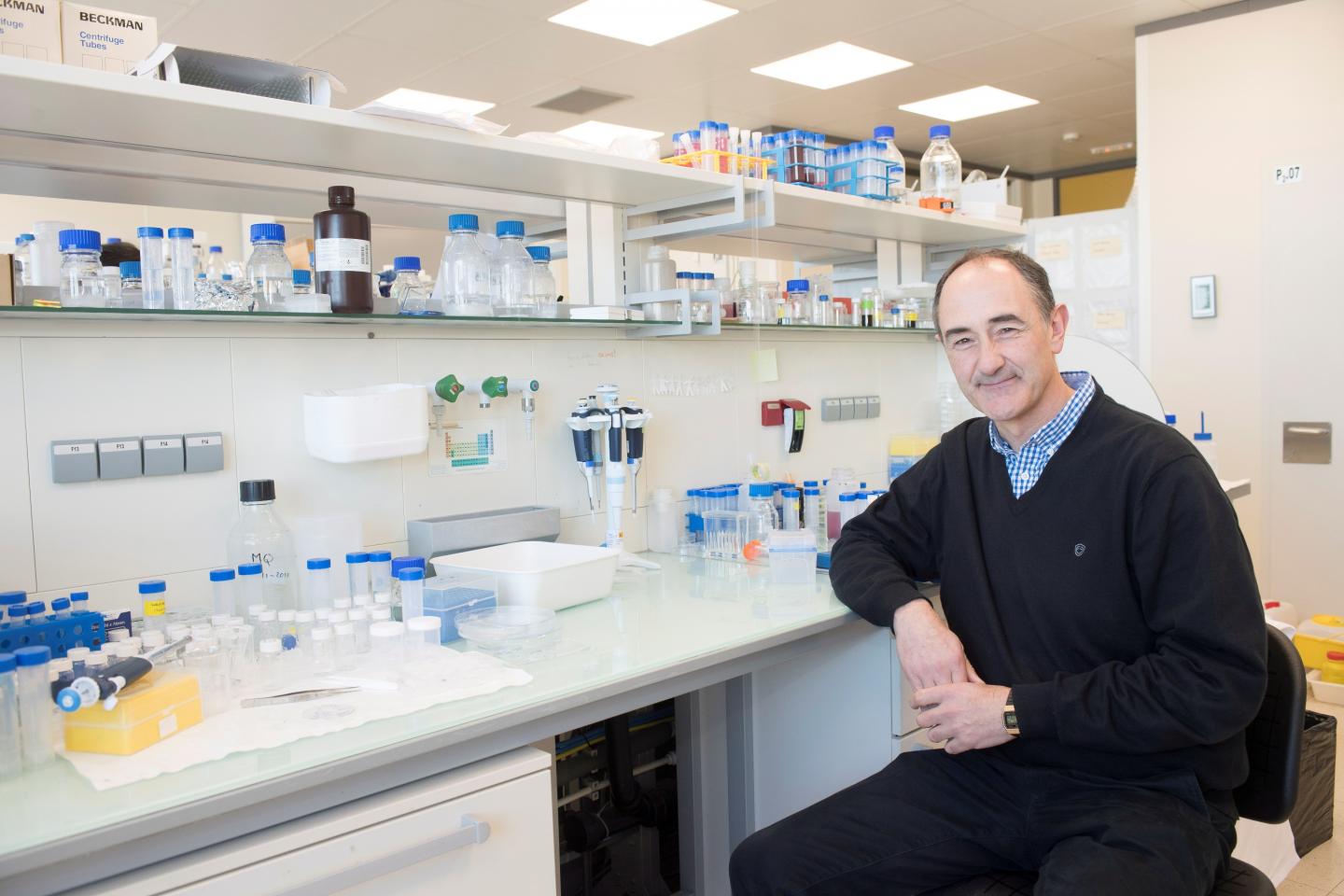 Luis Liz Marzán, Elhuyar Fundazioa