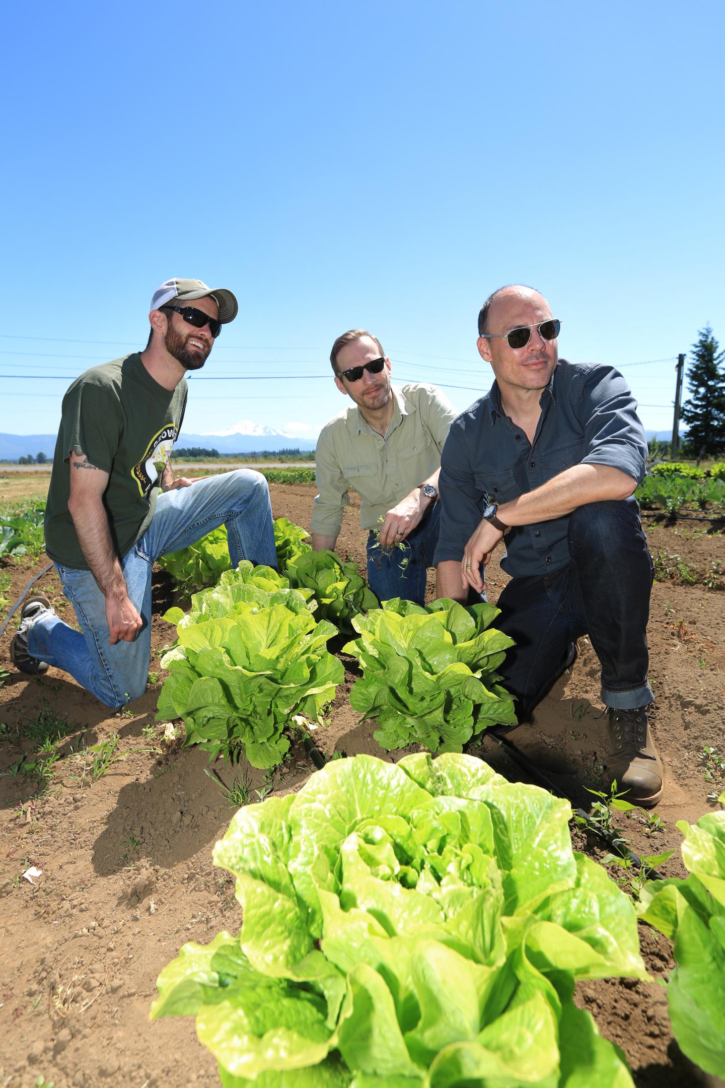 Farm Work May Improve Veterans' Mental Health