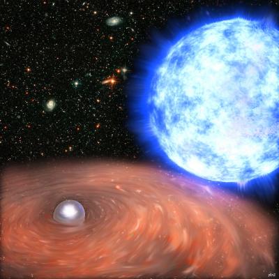 White Dwarf and its Companion