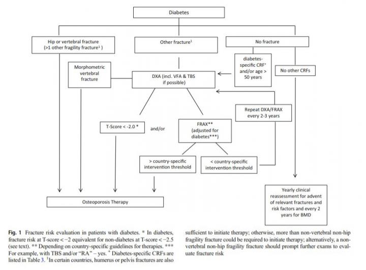 Fracture Risk Management in Patients with Diabetes