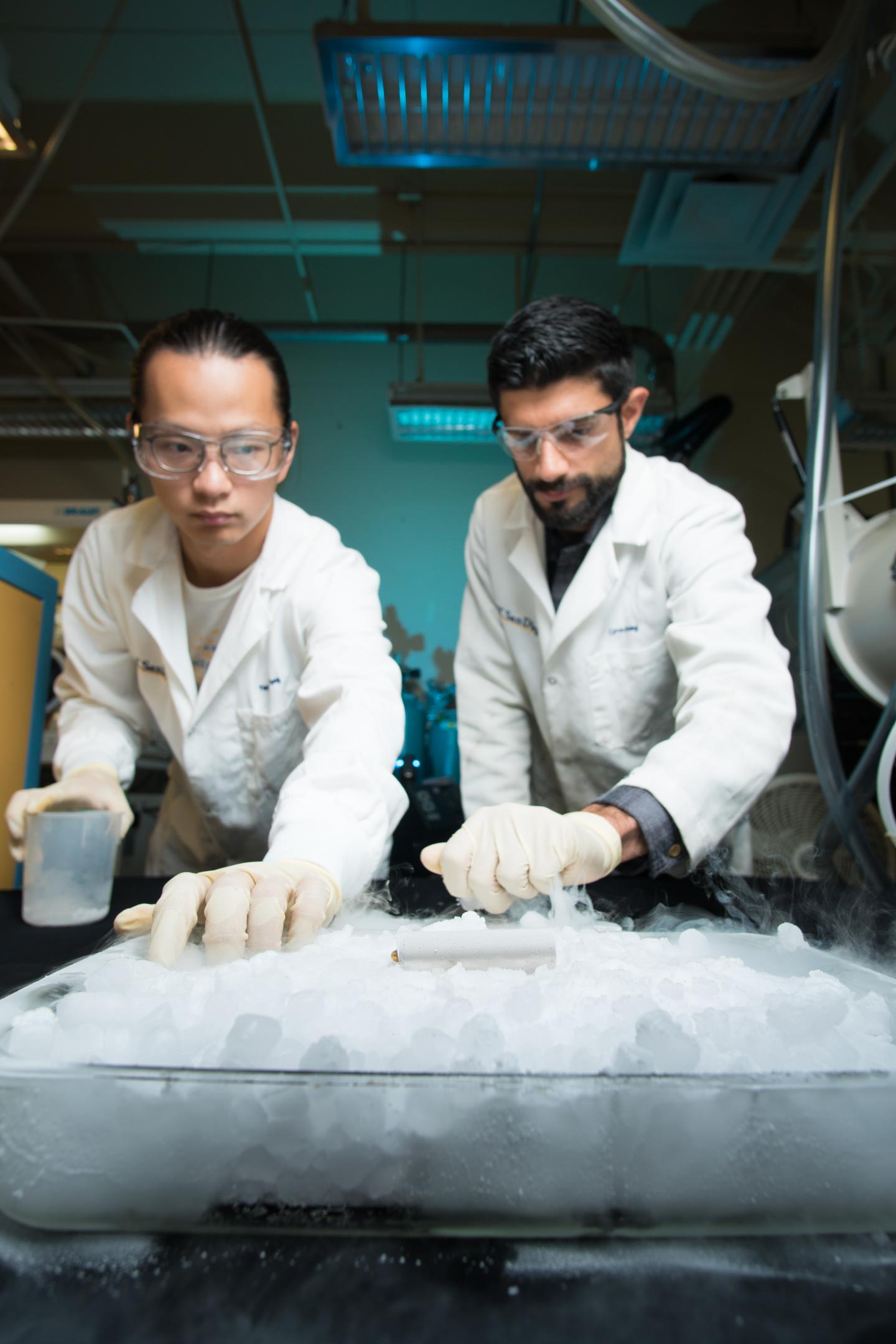 Yangyuchen Yang and Cyrus Rustomji, University of California - San Diego 