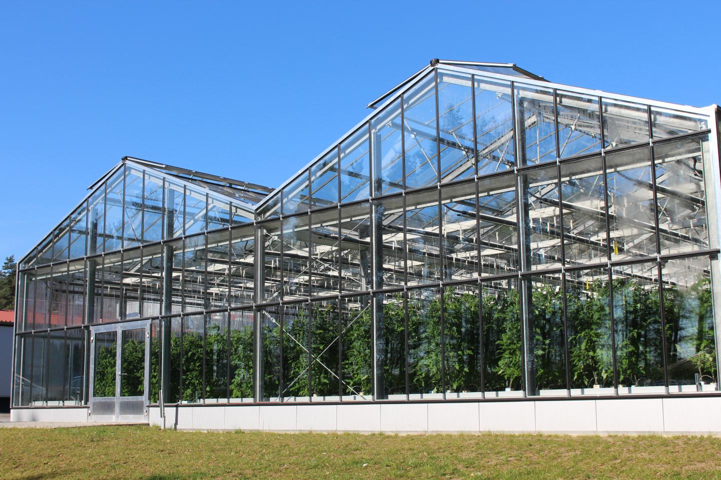 Greenhouse