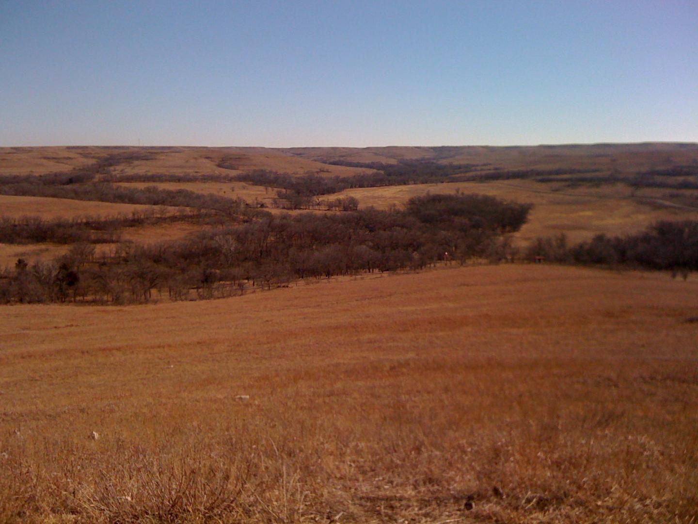 Kansas Prairie