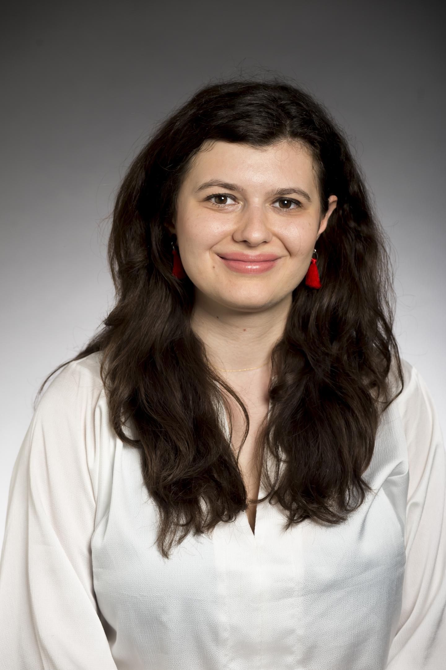 Dumitrescu, College of Engineering, Carnegie Mellon University